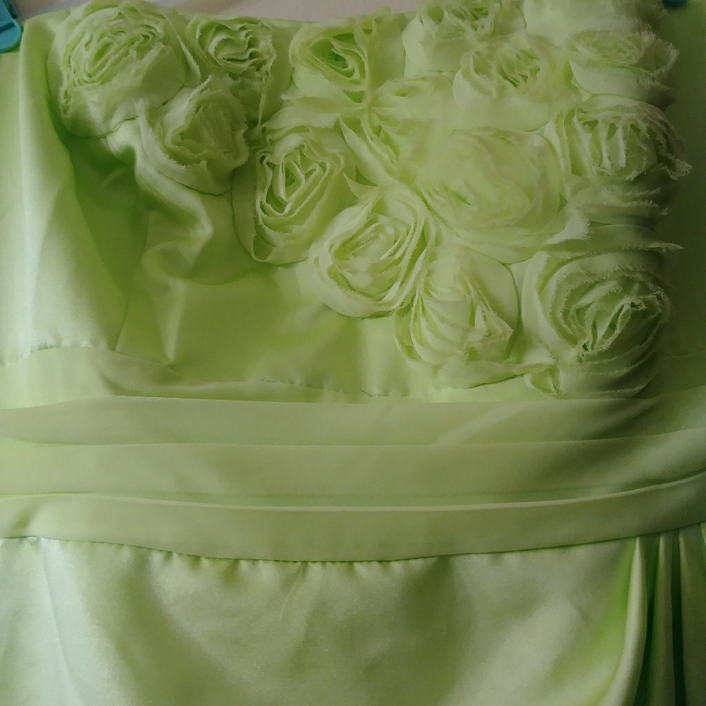 👑💎David's bridal gown size 18